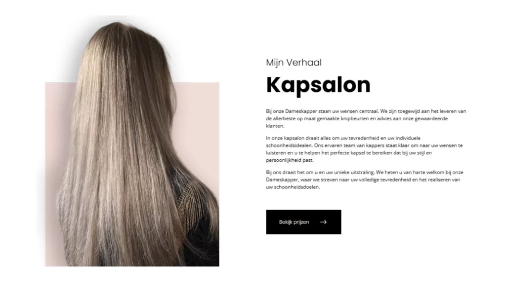 Kapsalon-website