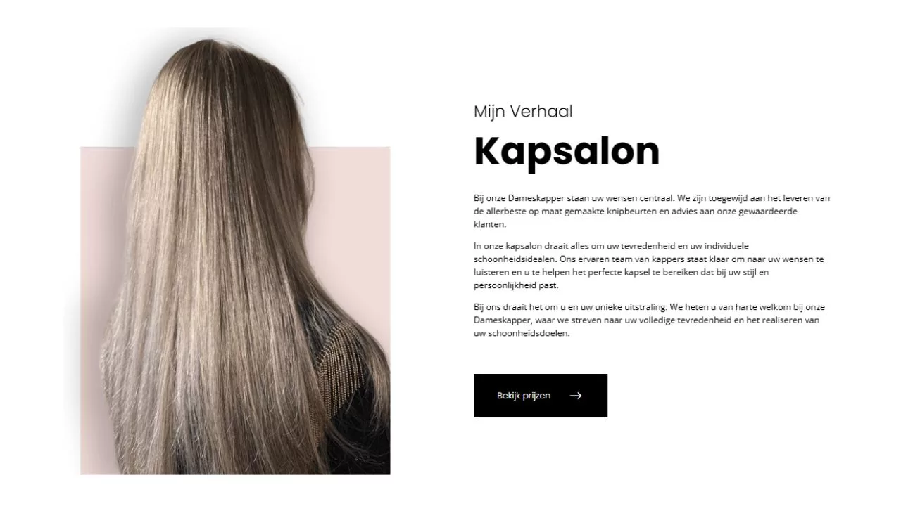 Kapsalon-website